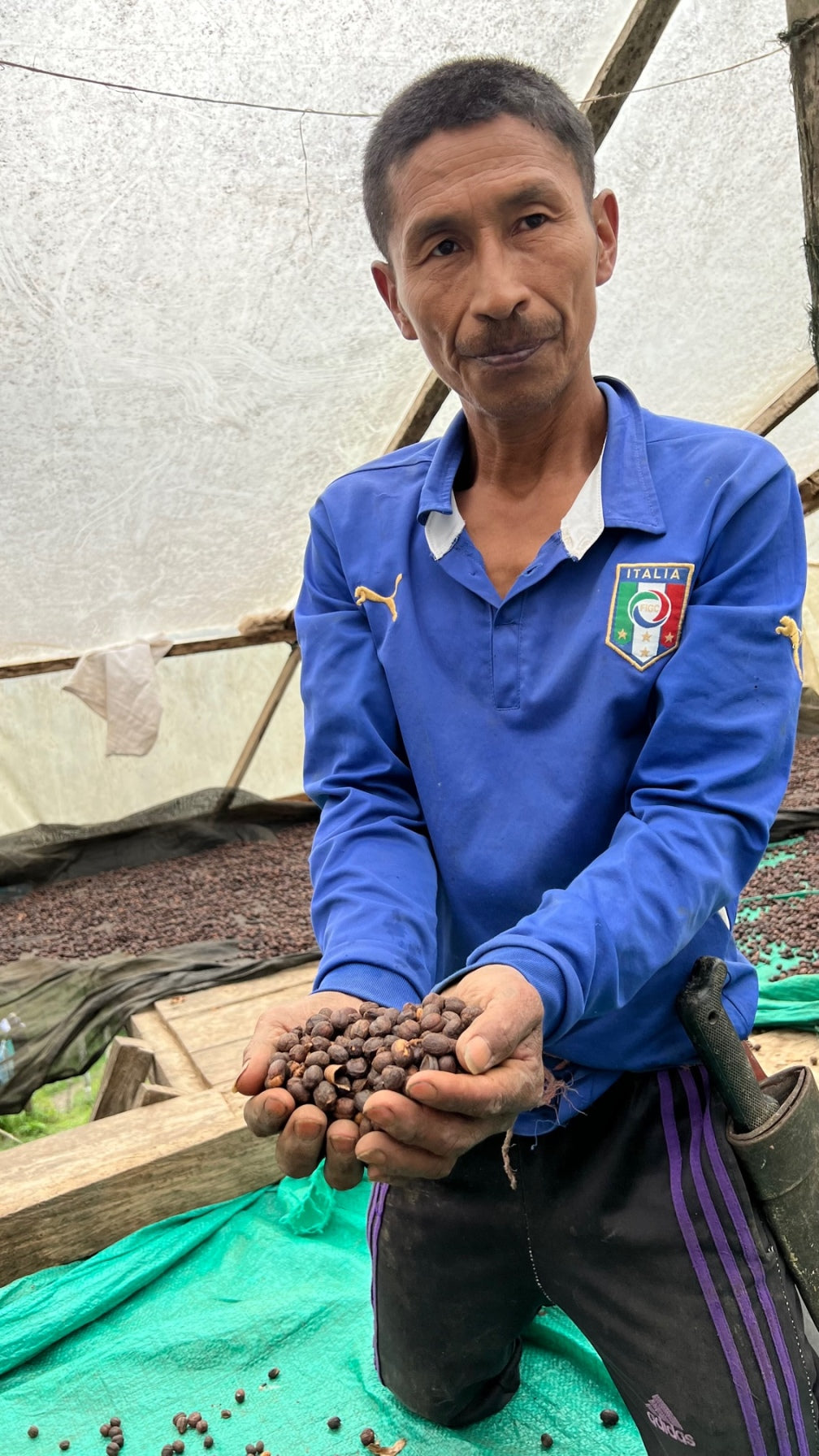 Colombia | Manuel Dauga, Finca La Holanda, Red Bourbon / 30hr Fermented Washed