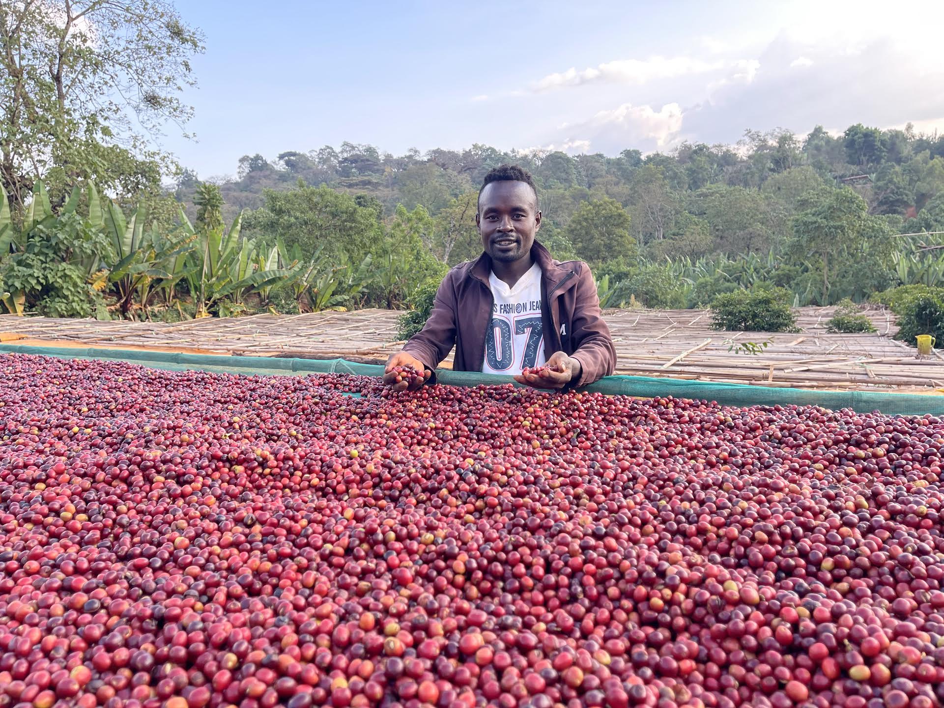 Ethiopia | Yirgacheffe Koke Village / Natural