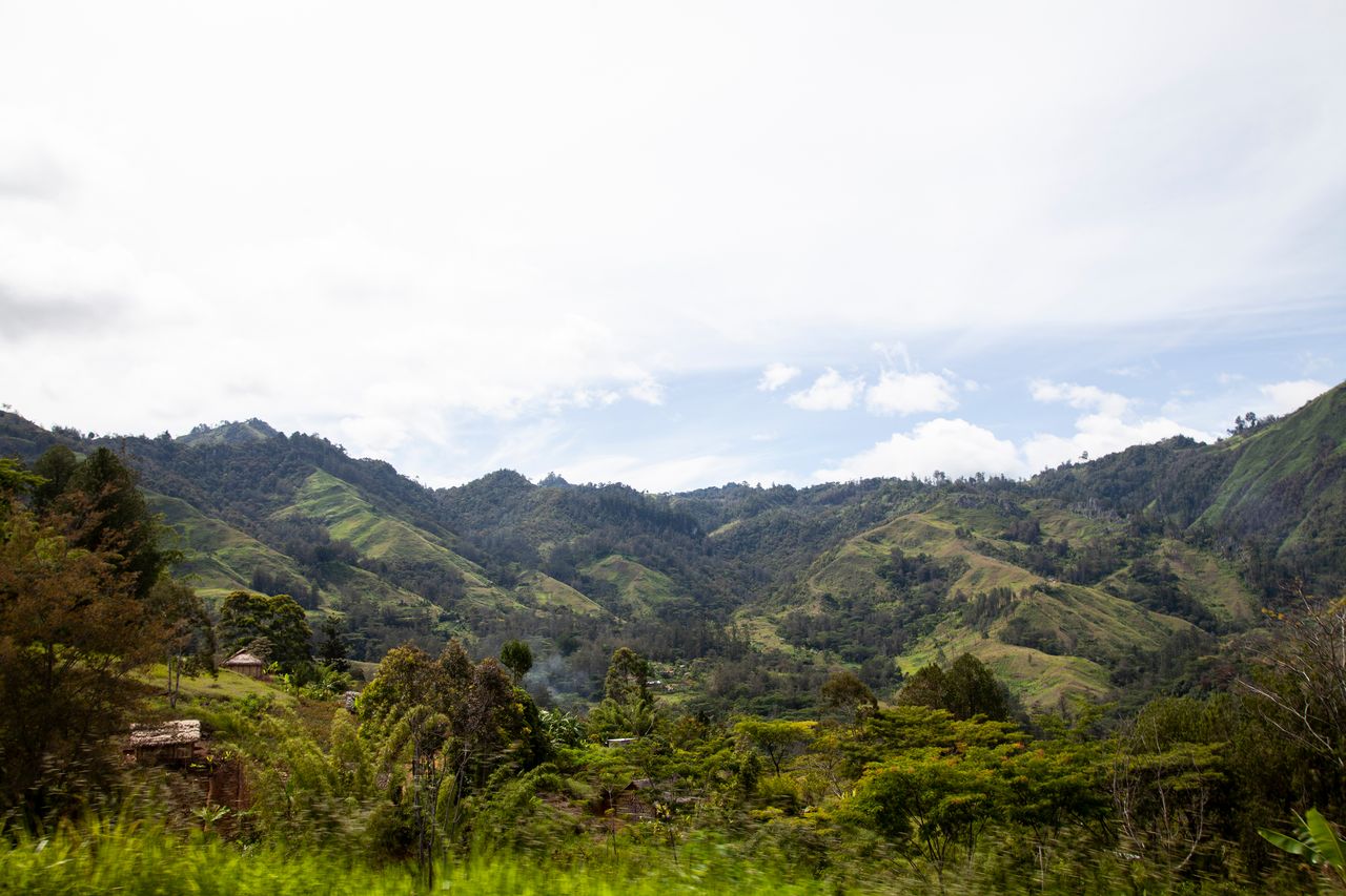 Papua New Guinea | Lass Malo (Okalu) Lufa & Okapa / Washed
