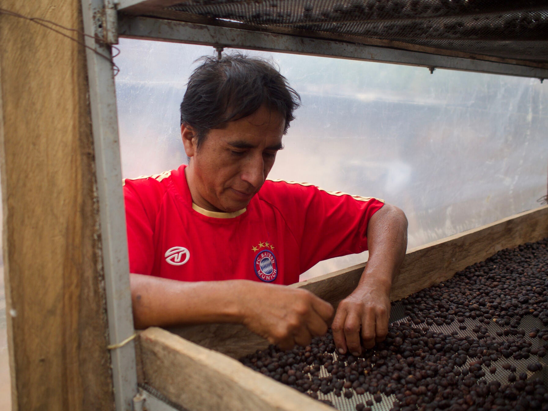 Peru | Jose Elmer, El Diamante, Red Bourbon / Washed Lot 3255