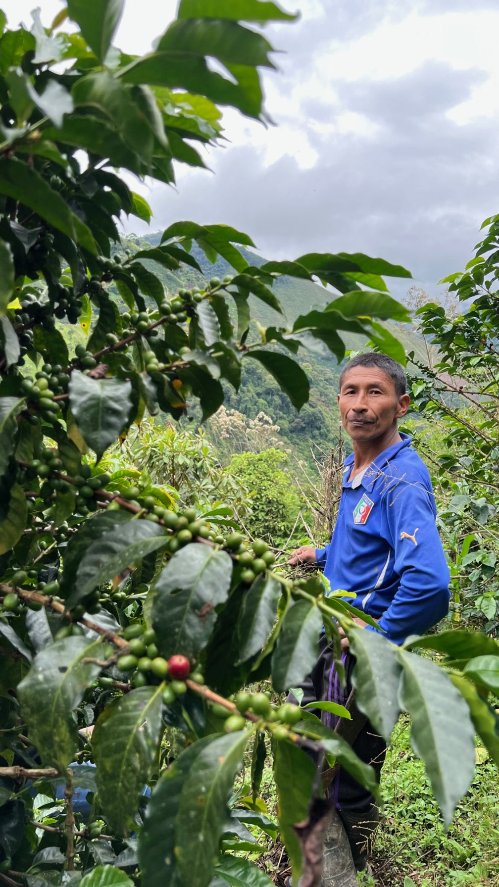 Colombia | Manuel Dauga, Finca La Holanda, Red Bourbon / 30hr Fermented Washed