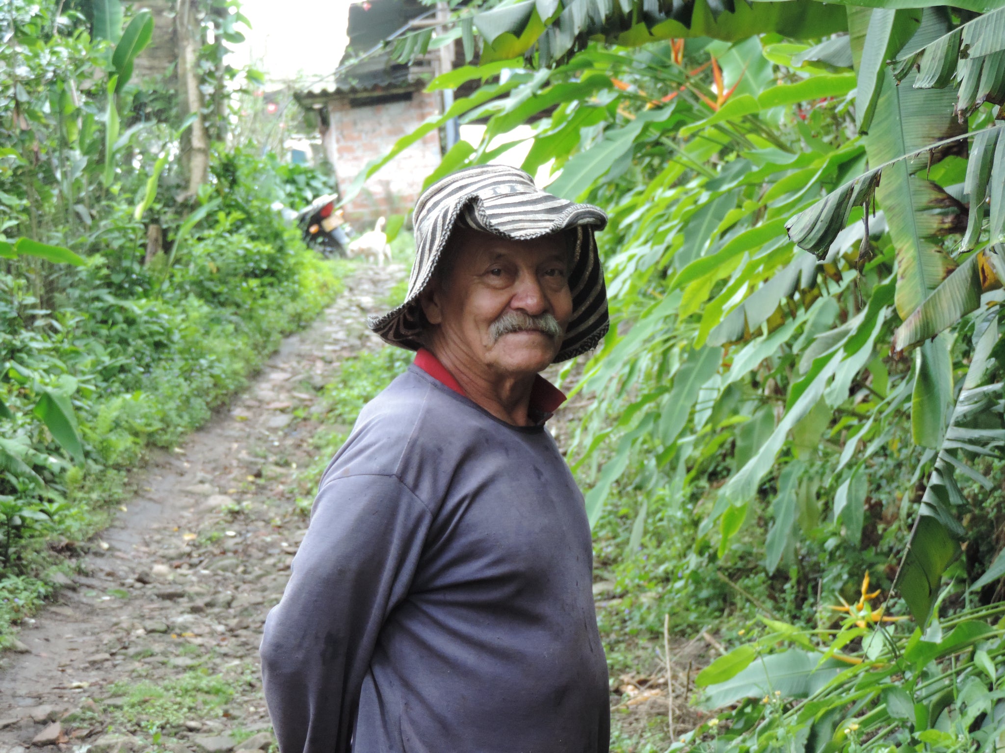 Colombia | Benjamin Gilberto Rivera, Finca La Molienda, Caturra / 30hr Fermented Washed