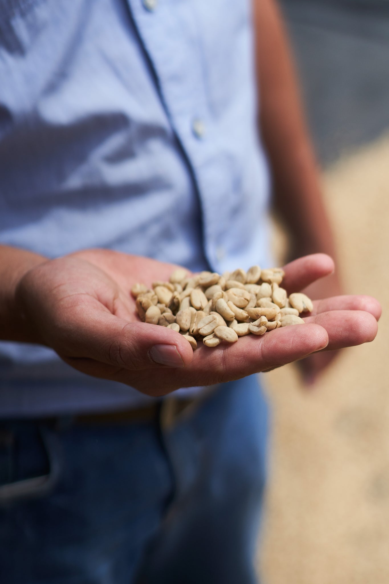 Honduras | Roger Marquez, Finca Las Acacias, Catuai | Natural