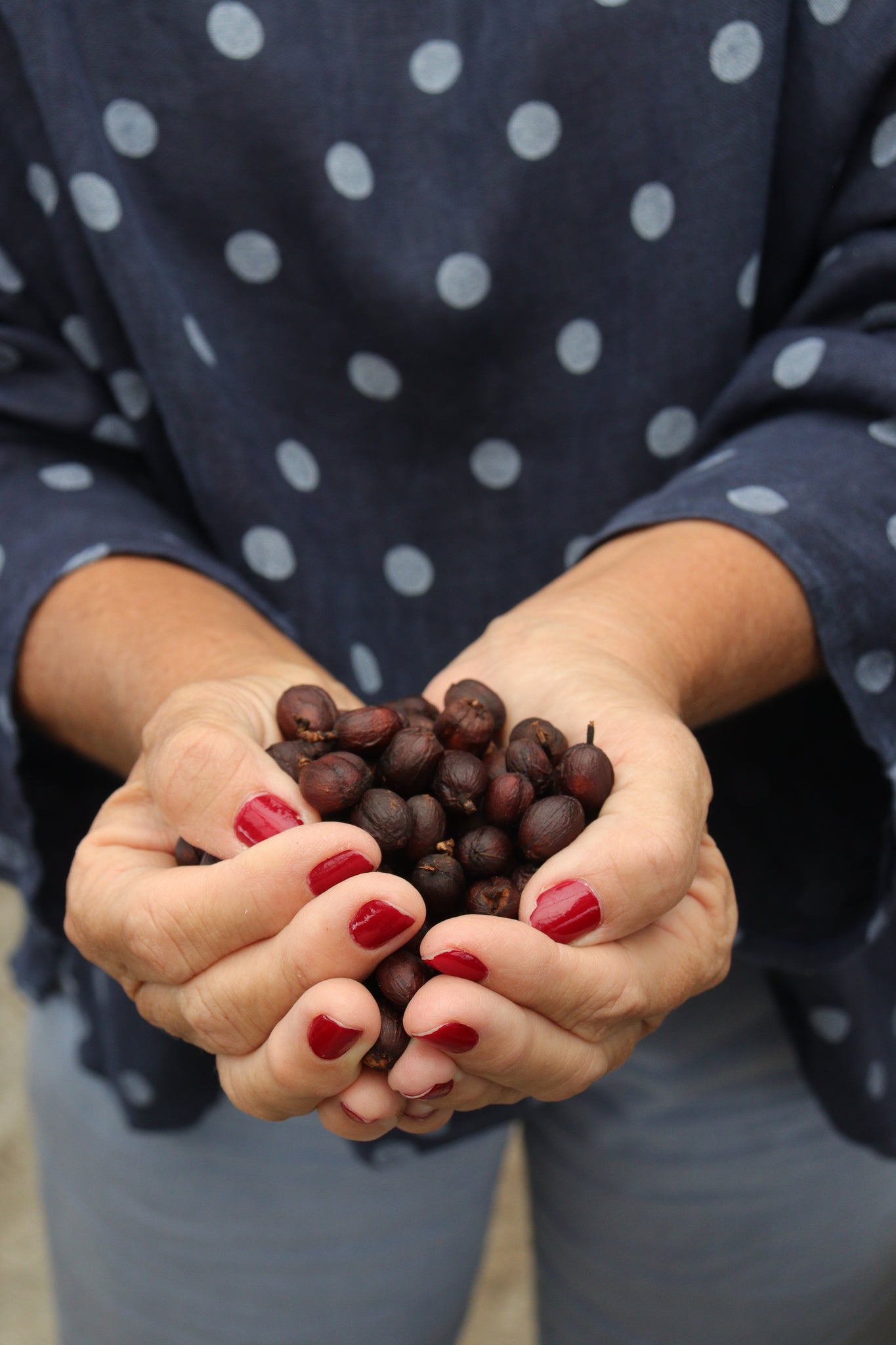 Colombia | Luz Helena Salazar, La Leona, Caturra / 30hr Fermented Washed