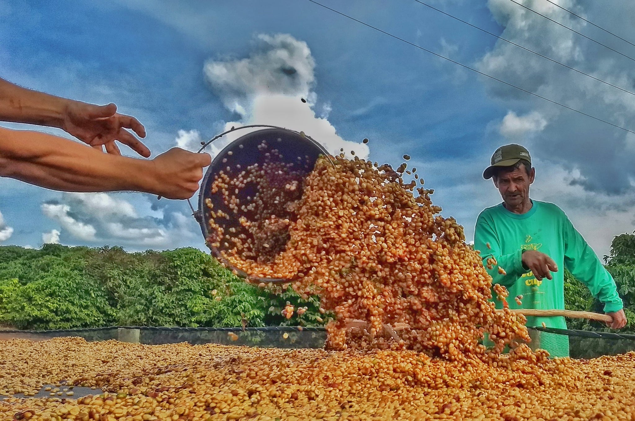 Brazil | Andrade Family, Sao Silvestre / Natural