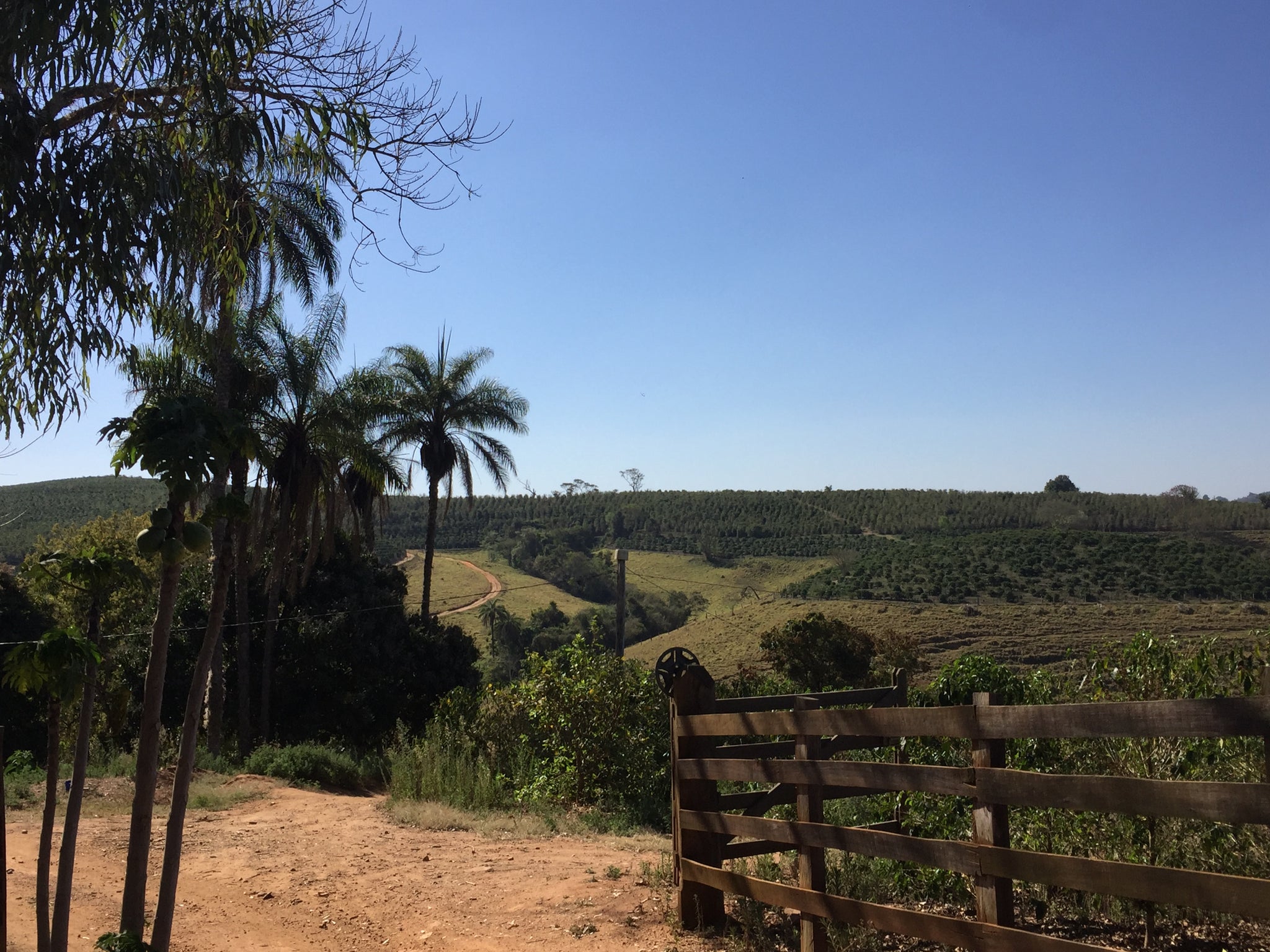 Brazil | Jose Edivaldo Gonçalves, Sítio Barra / Natural