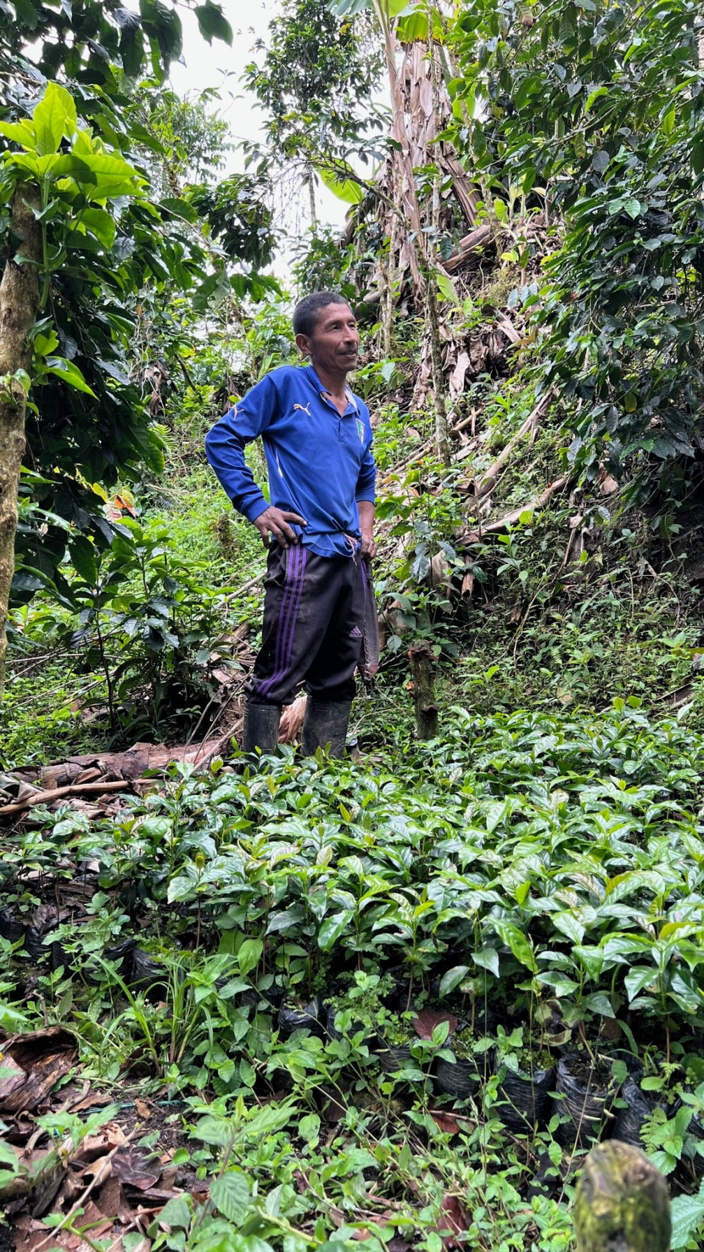 Colombia | Manuel Dauga, Finca La Holanda, Red Bourbon / 30hr Fermented Washed