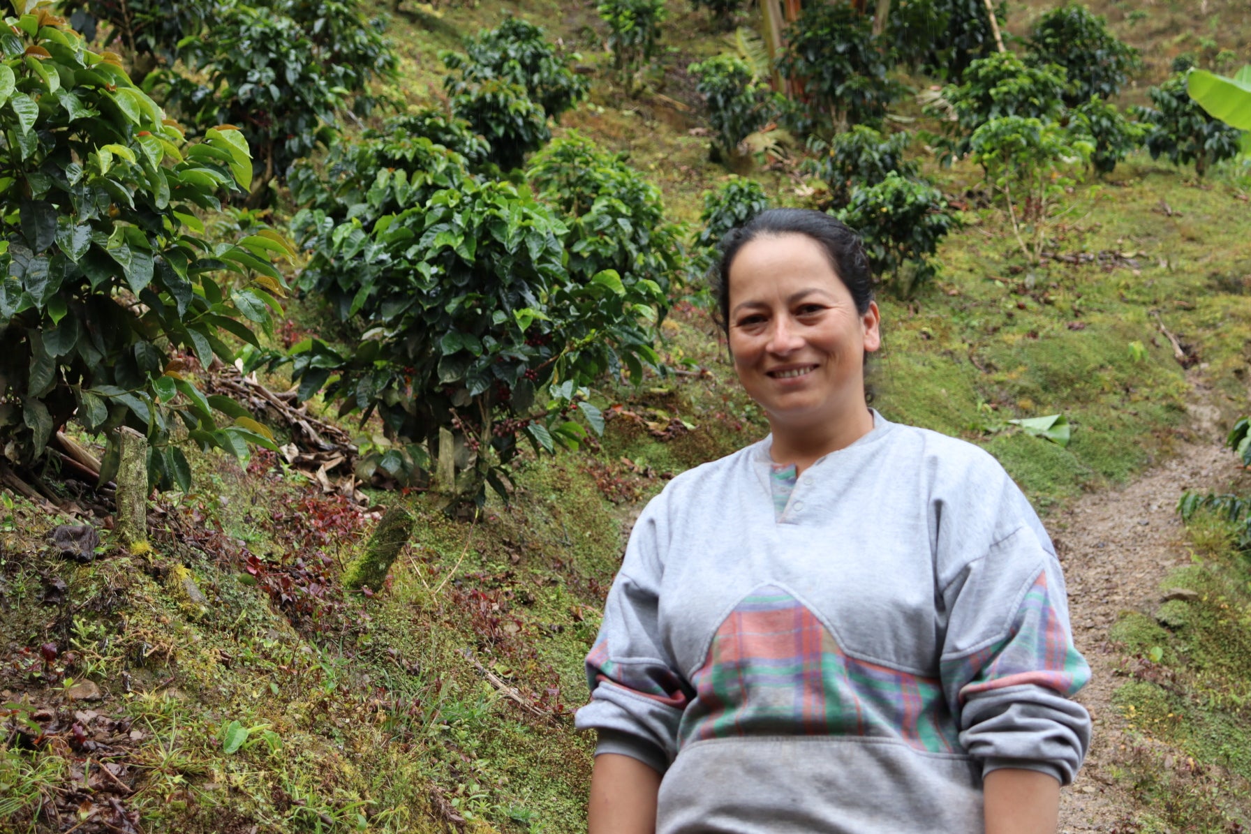 Colombia | Luzmila Gonzales, Finca El Oasis, Caturra / 30hr Fermented Washed