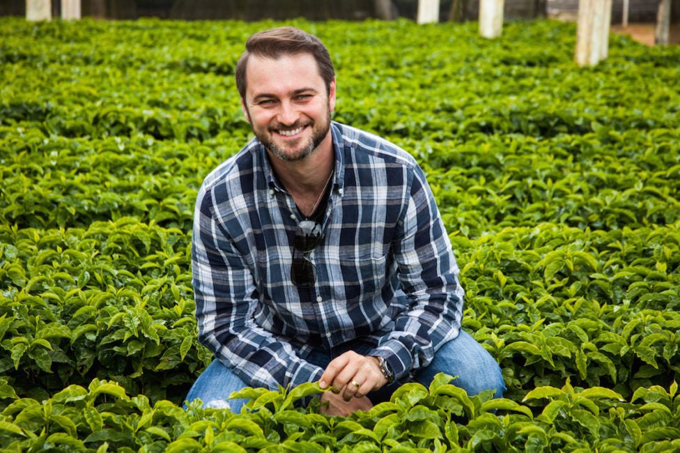 Brazil | Fazenda Progresso / Natural